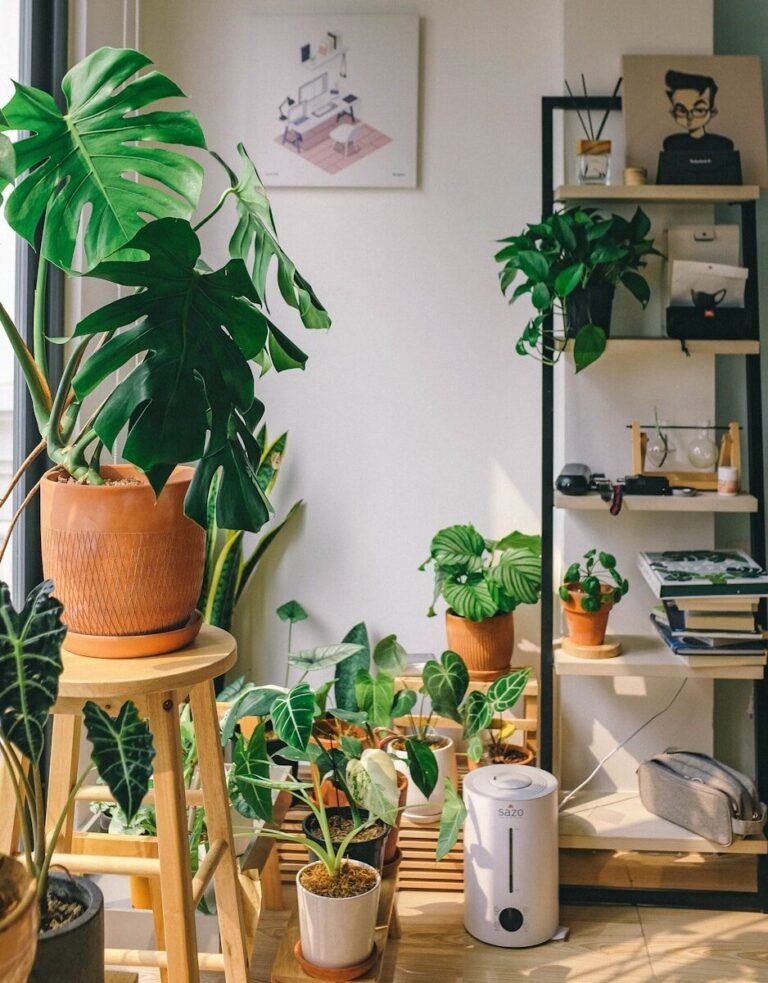 A collection of potted houseplants including a large monstera on a wooden stool